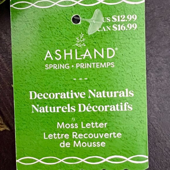 Decorative faux Moss "T" Monogram - Picture 4 of 4